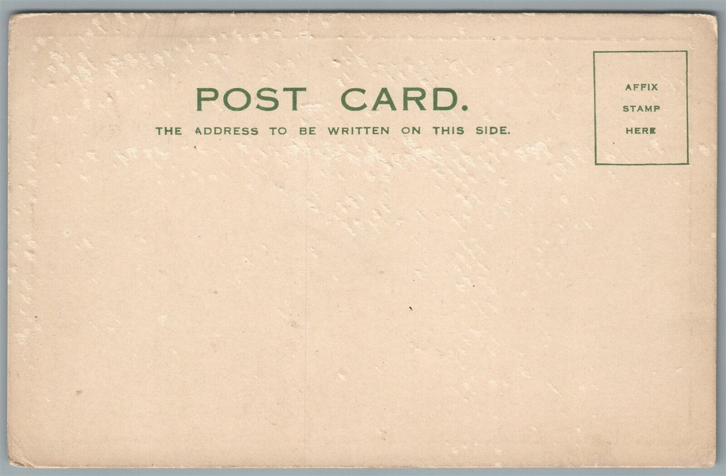 BICYCLE CIRCUS THE BROCKS CRAZY CYCLISTS ANTIQUE POSTCARD