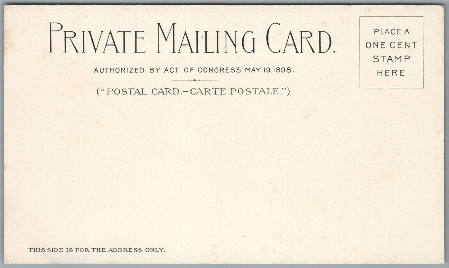 BUFFALO NY PAN AMERICAN EXPO ANTIQUE PRIVATE MAILING POSTCARD the stadium