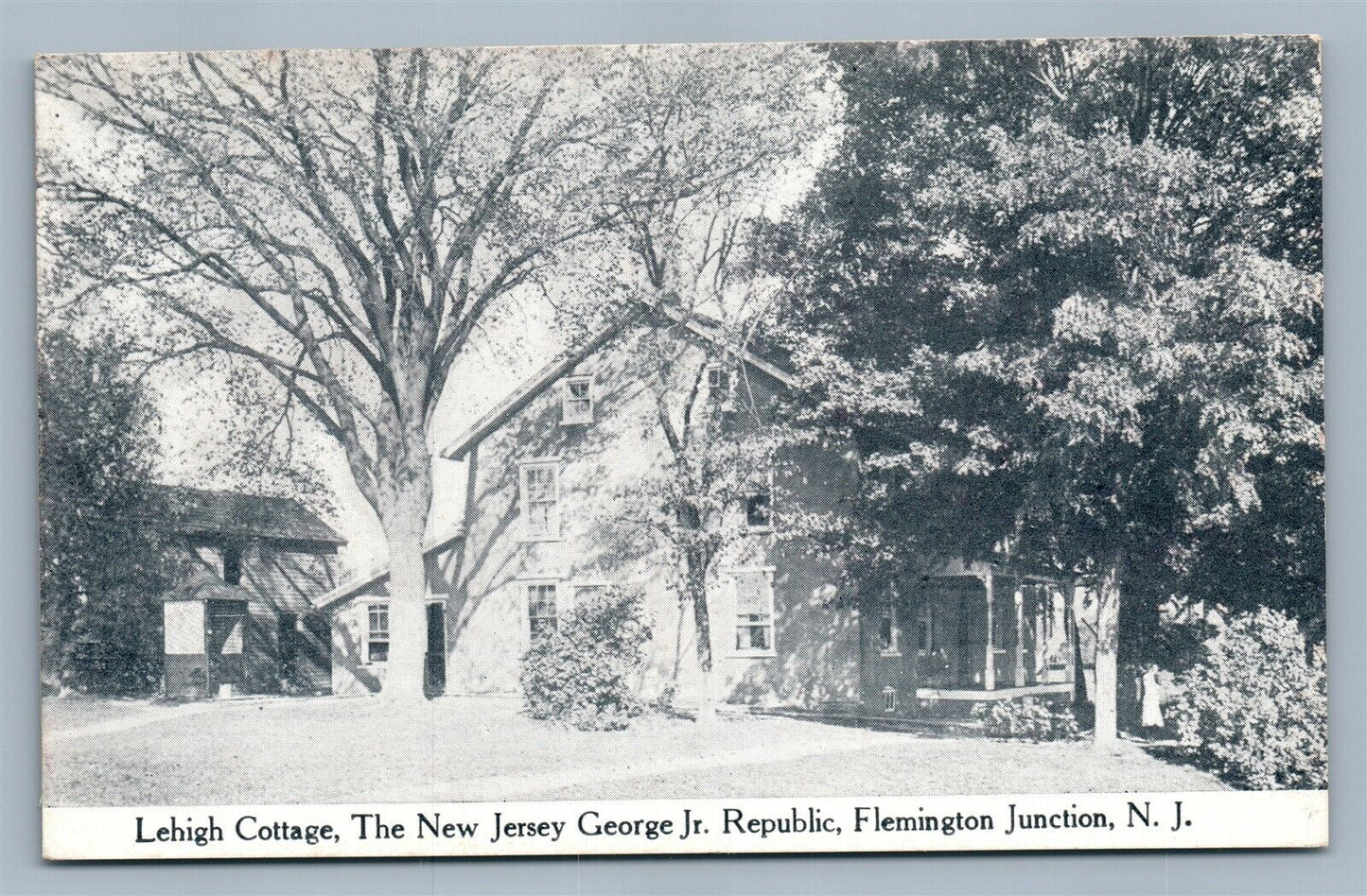FLEMINGTON JUNCTION NJ LEHIGH COTTAGE ANTIQUE POSTCARD