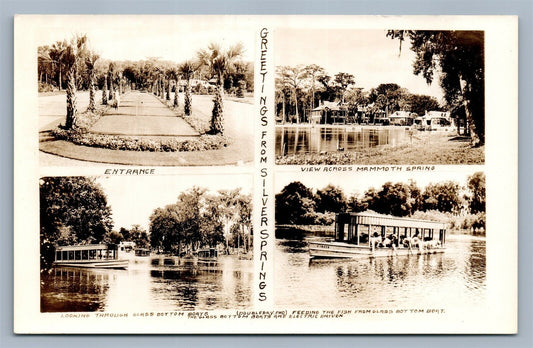 SILVER SPRINGS FL GREETINGS VINTAGE REAL PHOTO POSTCARD RPPC
