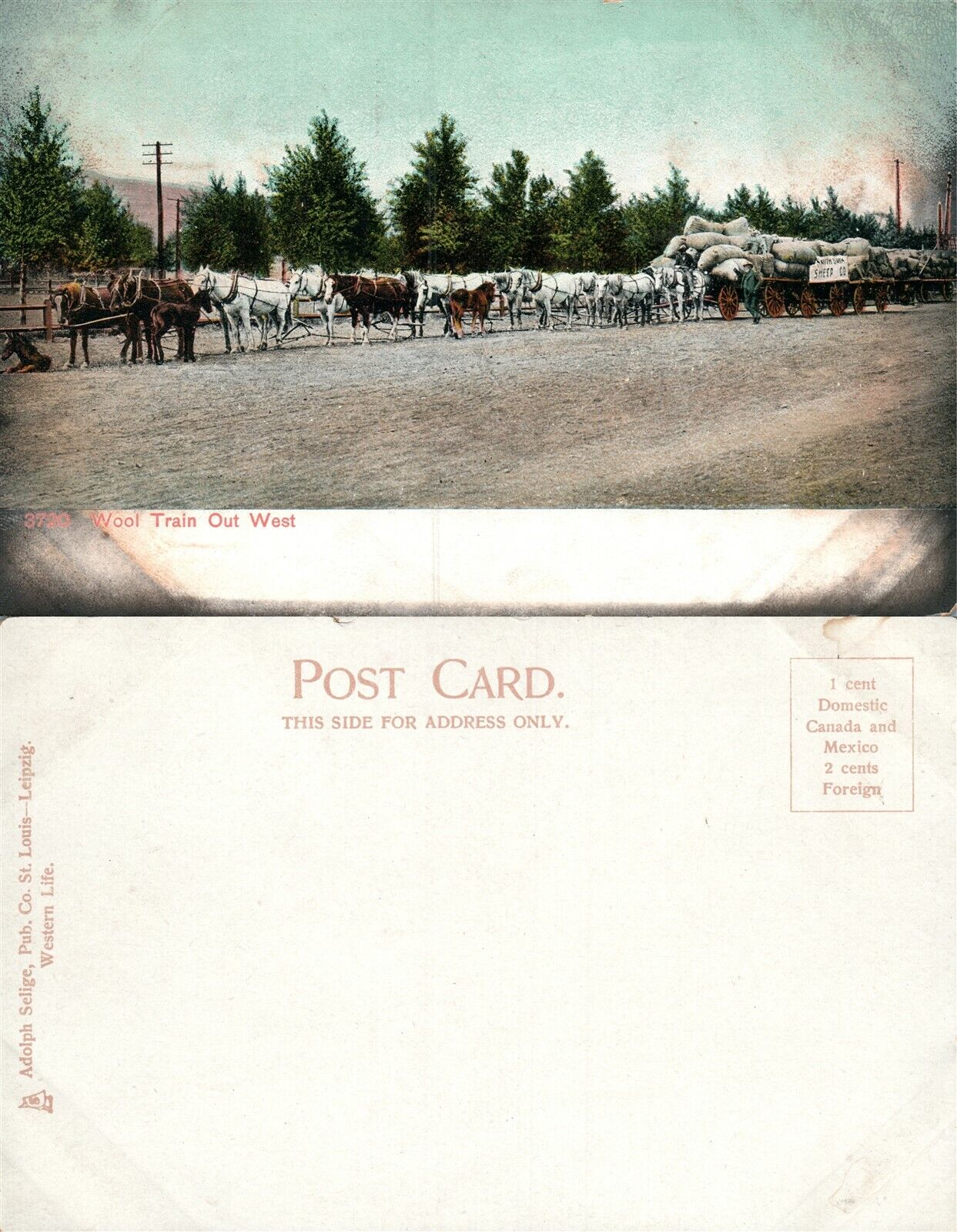 FARM SCENE WOOL TRAIN OUT WEST UNDIVIDED ANTIQUE POSTCARD