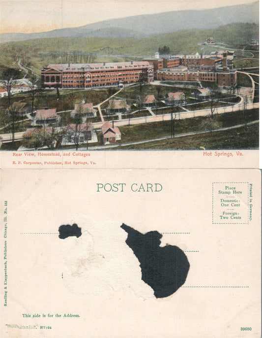 HOT SPRINGS VA HOMESTEAD & COTTAGES ANTIQUE POSTCARD