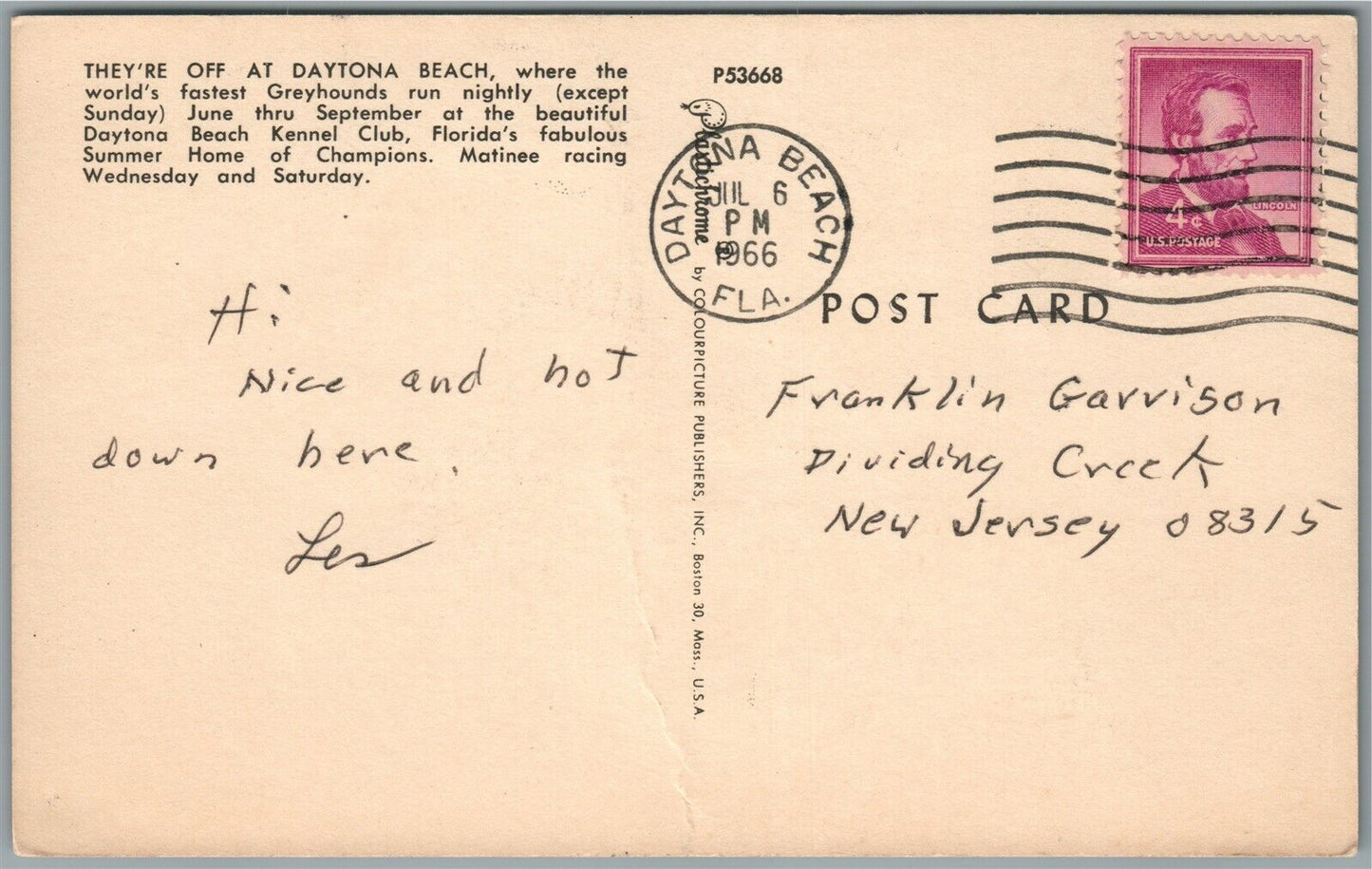 DAYTONA BEACH FL KENNEL CLUB DOG RACING VINTAGE POSTCARD