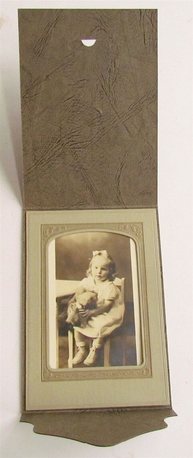 ANTIQUE PHOTO of GIRL w/ TOY BEAR