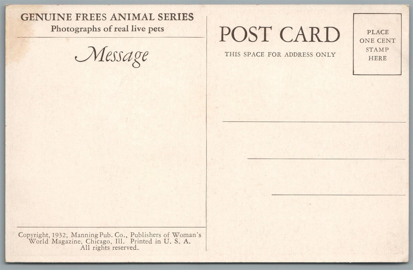 CATS FISHEMEN ANTIQUE POSTCARD