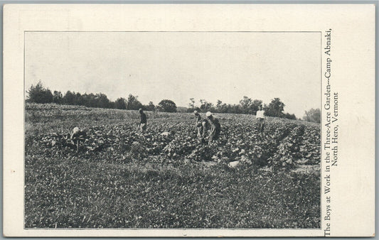 NORTH HERO VT CAMP ABNAKI BOYS AT WORK ANTIQUE POSTCARD