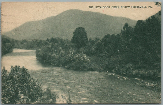 FORKSVILLE PA LOYALSOCK CREEK VINTAGE POSTCARD