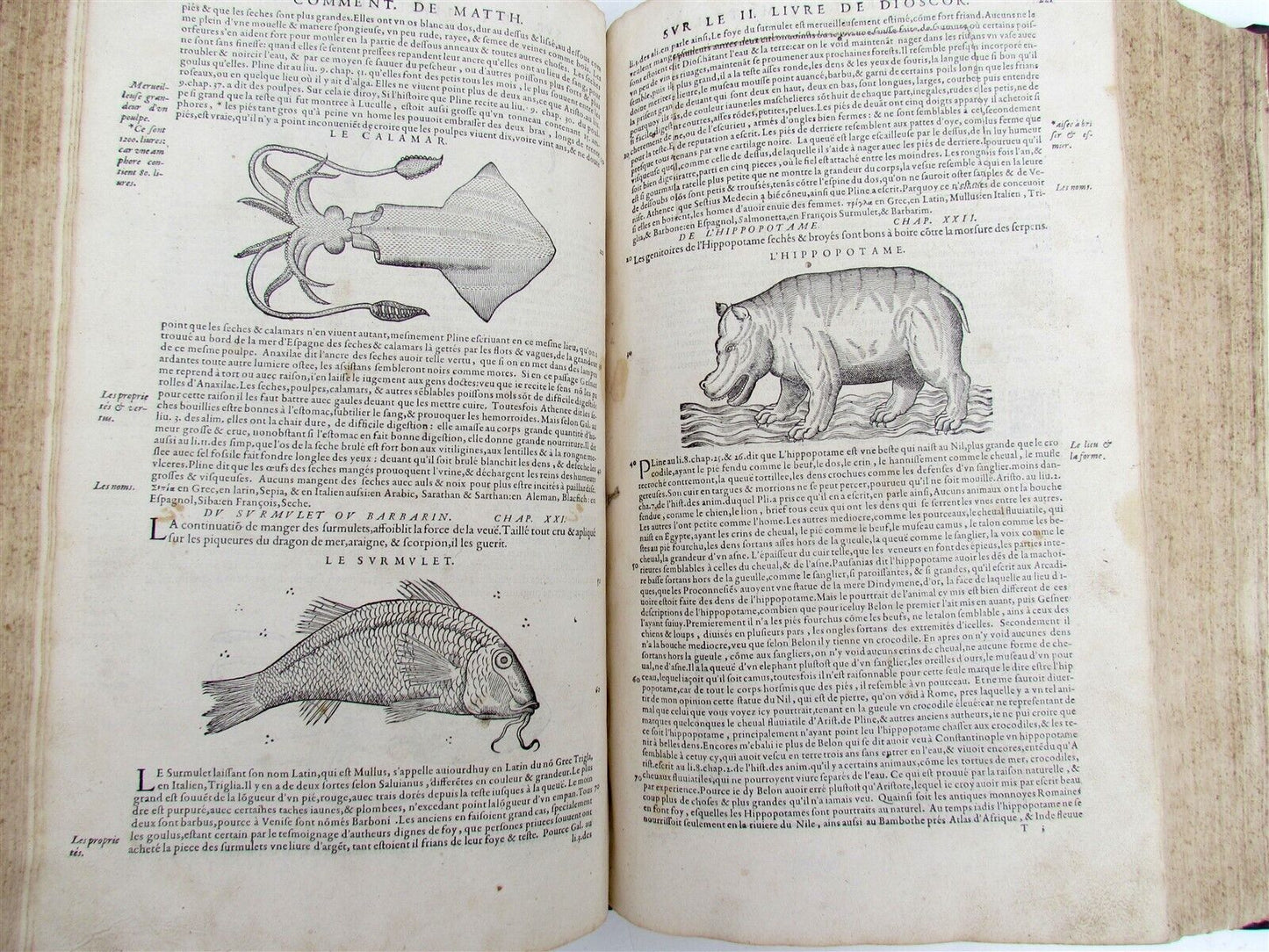 1579 MATTHIOLE COMMENTARIES ILLUSTRATED PLANTS ANIMALS antique 16th cent. FOLIO