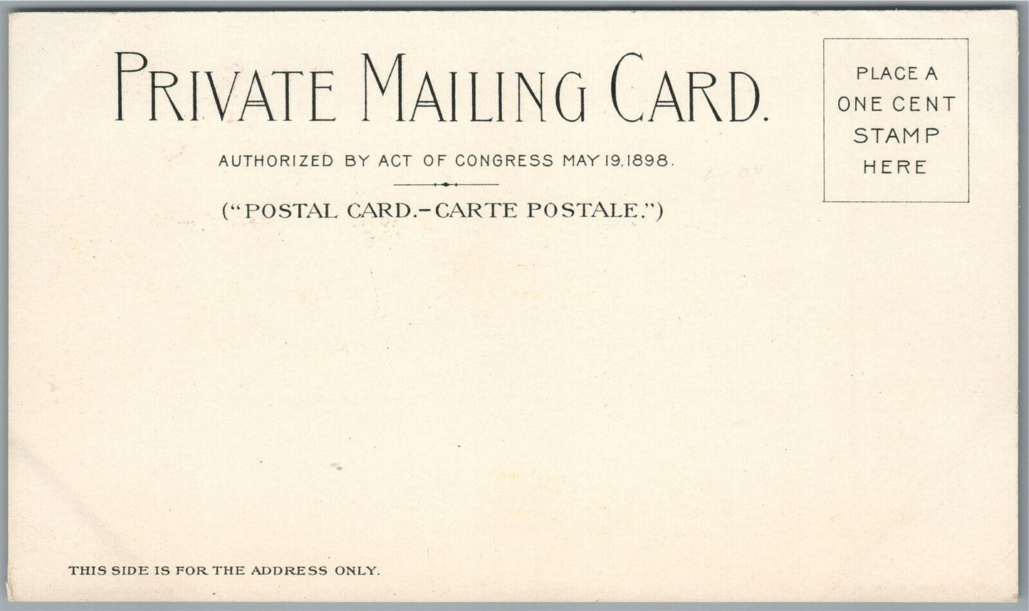 BUFFALO NY PAN AMERICAN EXPO US GOVERNMENT BLDG 1898 ANTIQUE PRIVATE POSTCARD