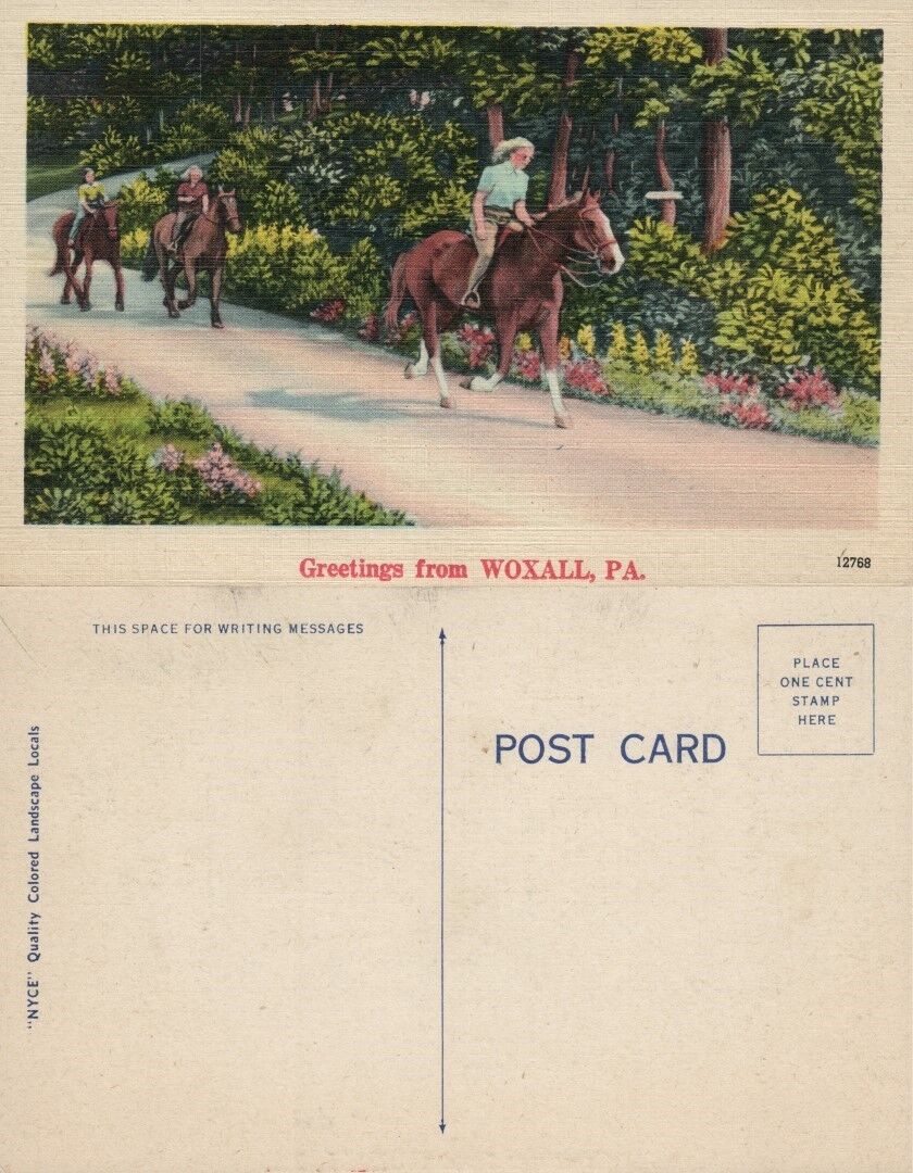 GREETINGS FROM WOXALL PA VINTAGE POSTCARD w/ HORSES