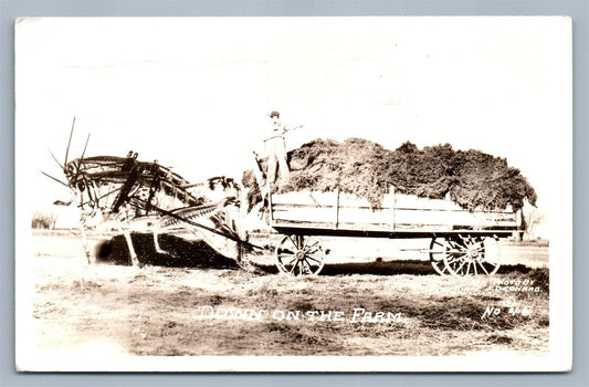 EXAGGERATED GRASSHOPER on the FARM VINTAGE REAL PHOTO POSTCARD RPPC GARDEN CITY