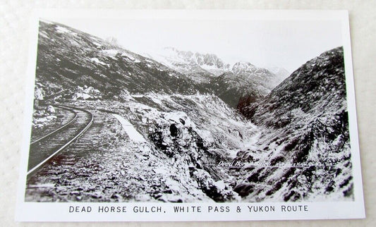 VINTAGE RPPC REAL PHOTO POSTCARD DEAD HORSE GULCH WHITE PASS YUKON ROUTE ALASKA