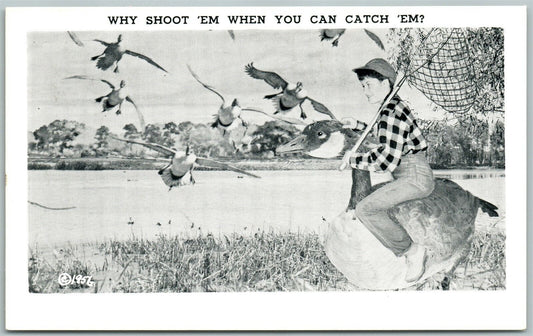 EXAGGERATED DUCK WHY SHOOT 'EM WHEN YOU CAN CATCH 'EM 1956 VINTAGE POSTCARD