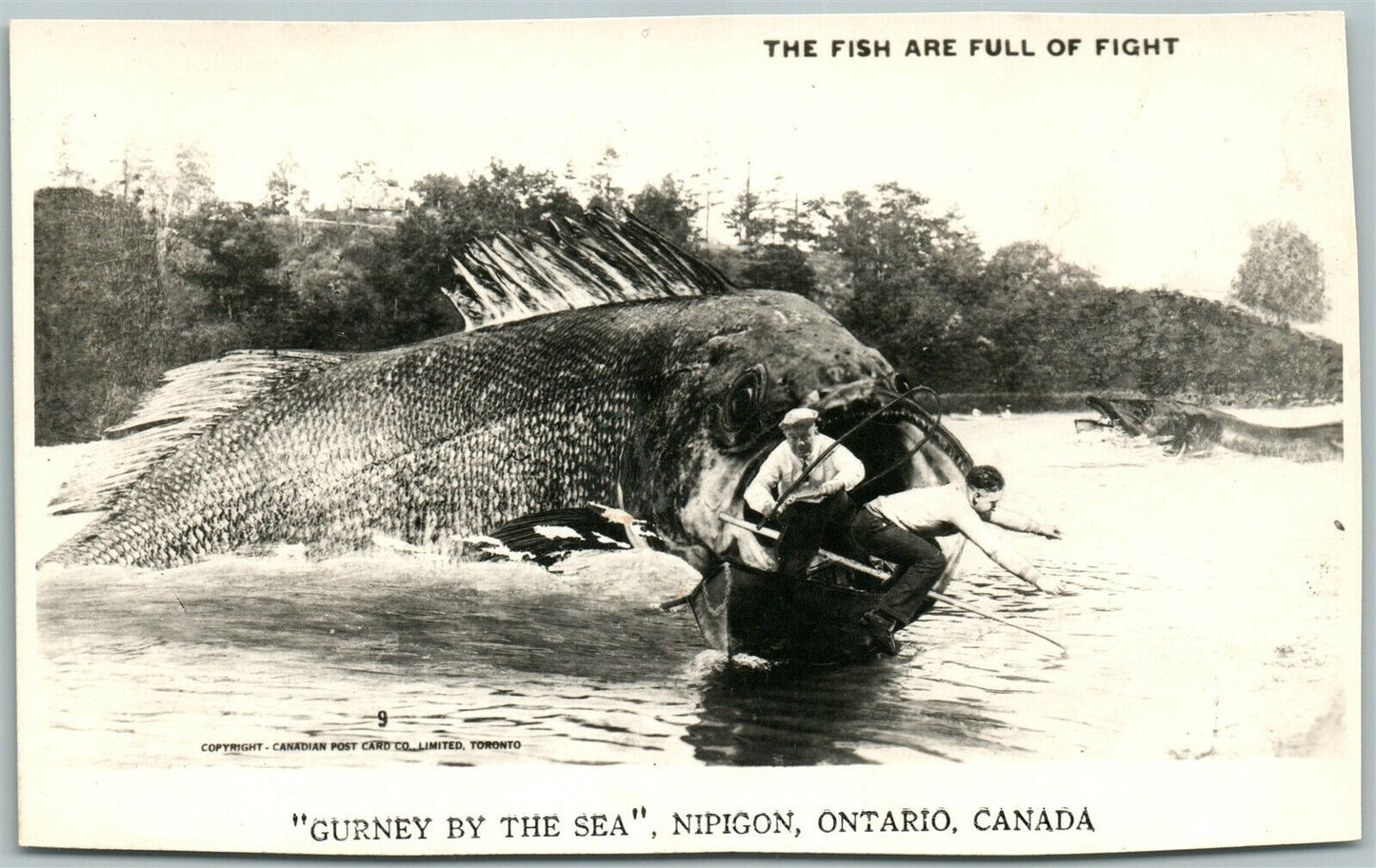 NIPIGON ONTARIO CANADA EXAGGERATED FISHING VINTAGE REAL PHOTO POSTCARD RPPC