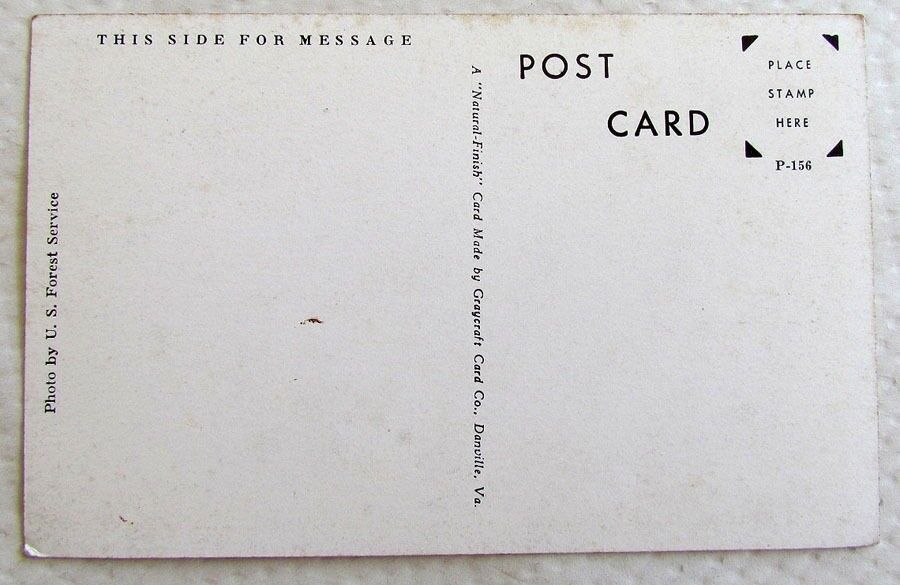 VINTAGE POSTCARD TIMBERLINE LODGE OREGON