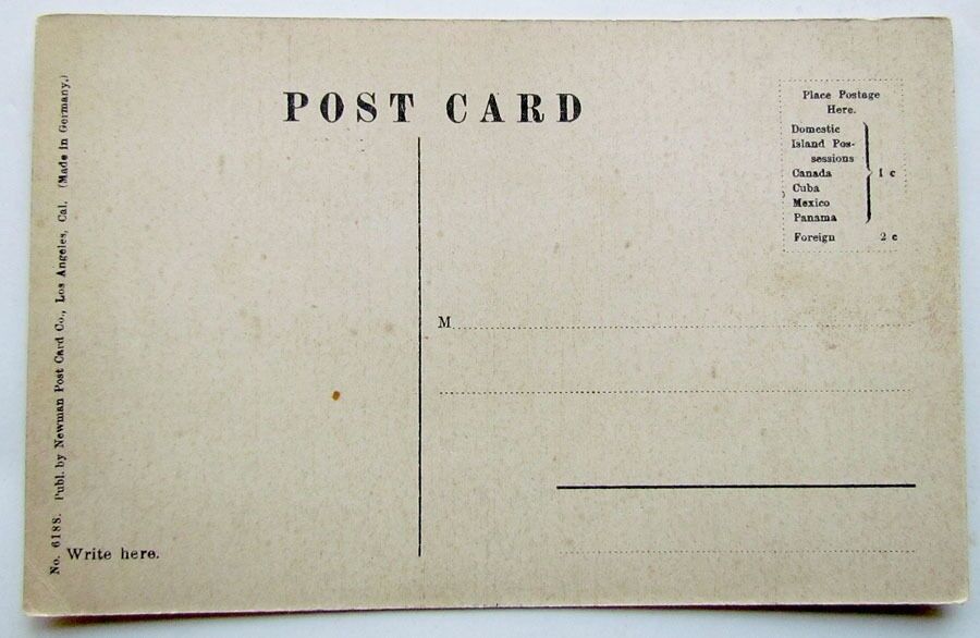 VINTAGE POSTCARD CAWSTON OSTRICH FARM SO. PASADENA CALIFORNIA