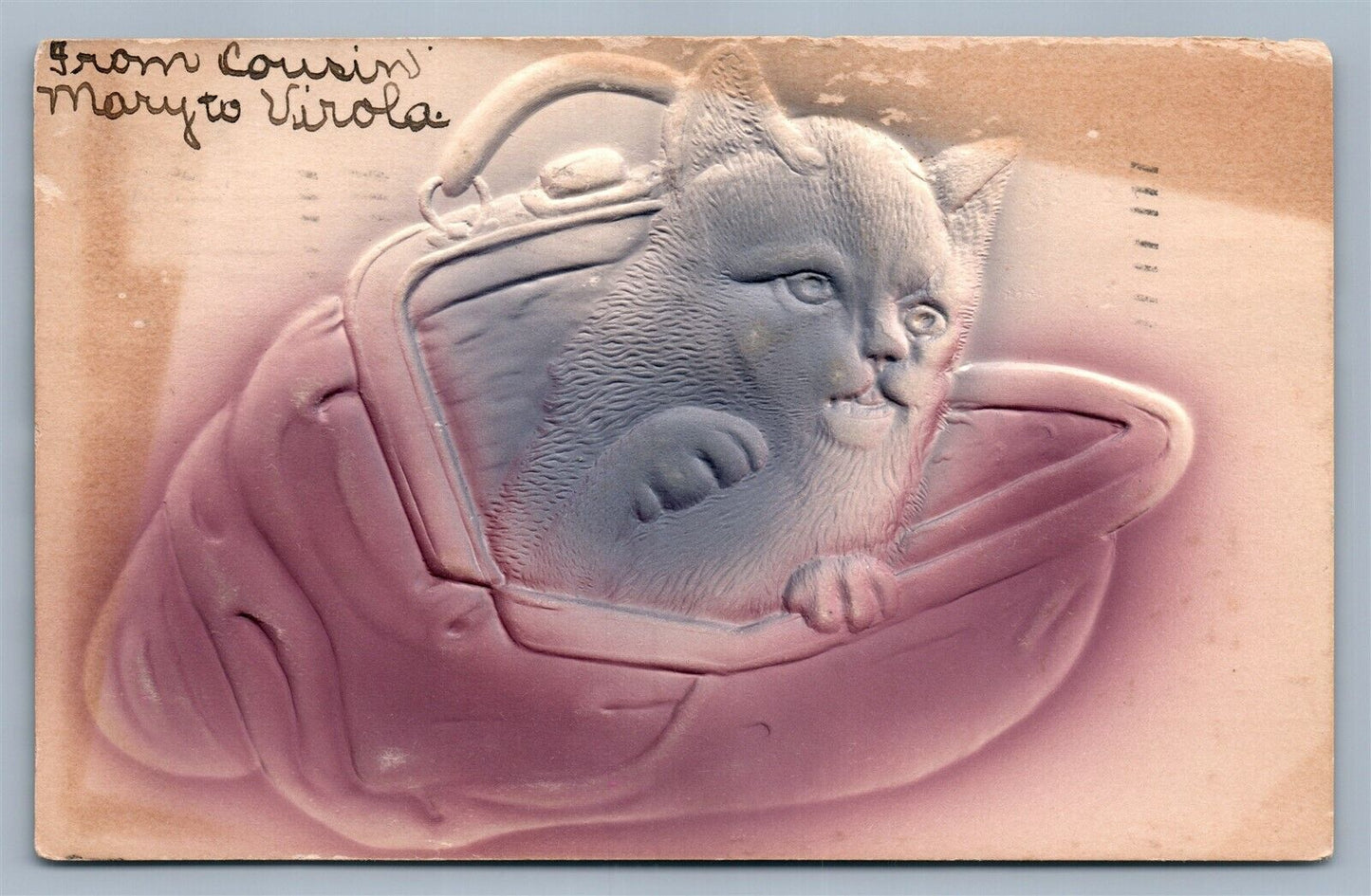 ANGRY CAT in PURSE EMBOSSED ANTIQUE POSTCARD