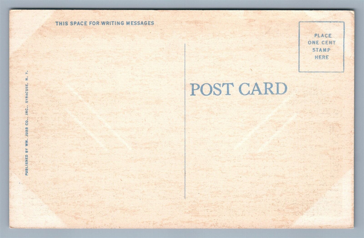 CARTHAGE NY NATIONAL PAPER PRODUCTS CO. VINTAGE POSTCARD