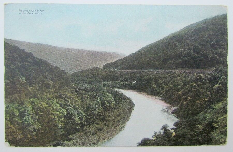 CONEMAUGH RIVER IN THE PACKSADDLE PA ANTIQUE POSTCARD