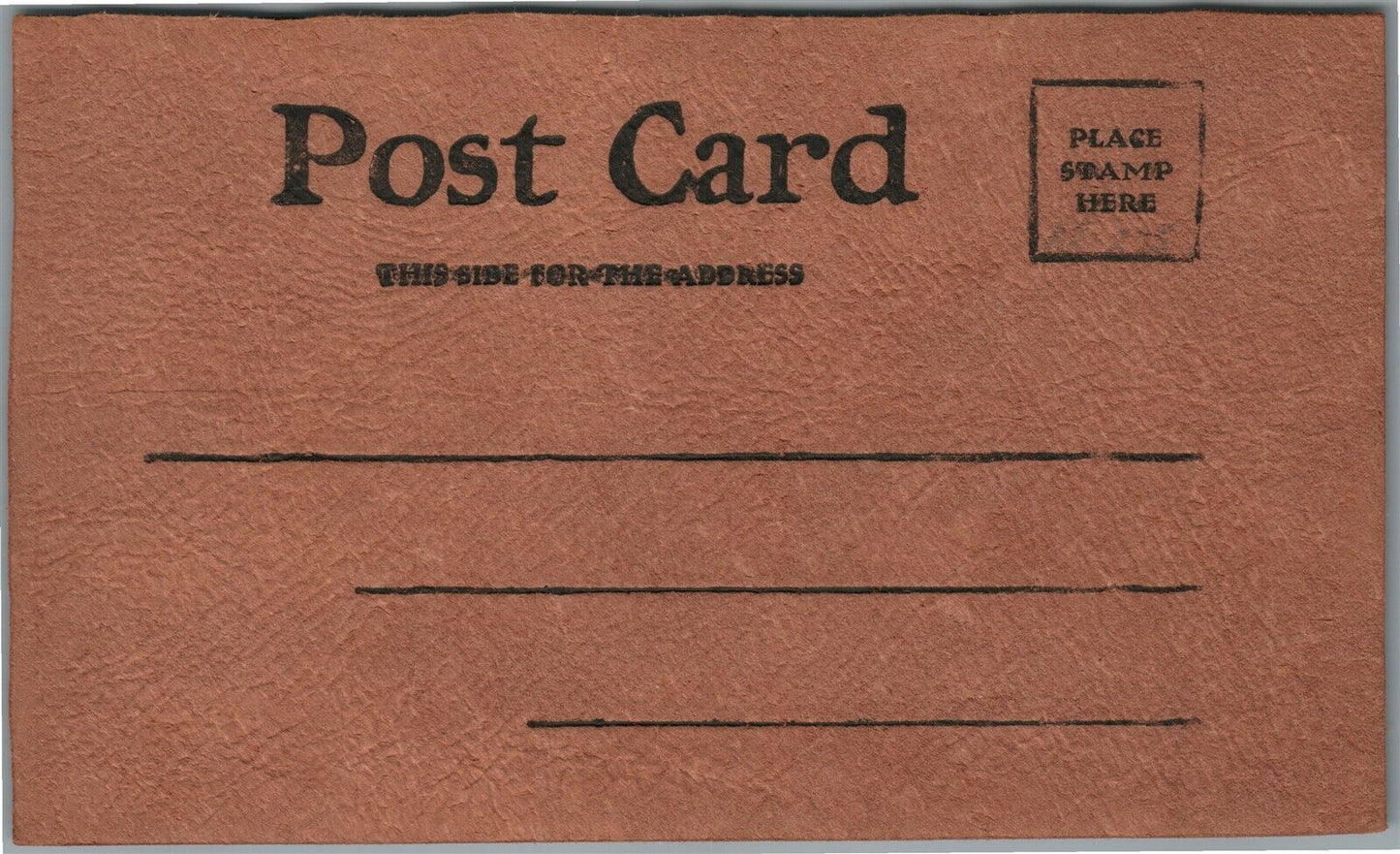 ROBINSON IL LEATHER ANTIQUE POSTCARD w/ CAT