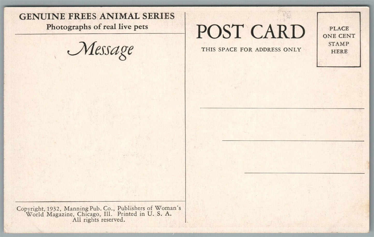 DRESSED CAT & DOG ANTIQUE POSTCARD