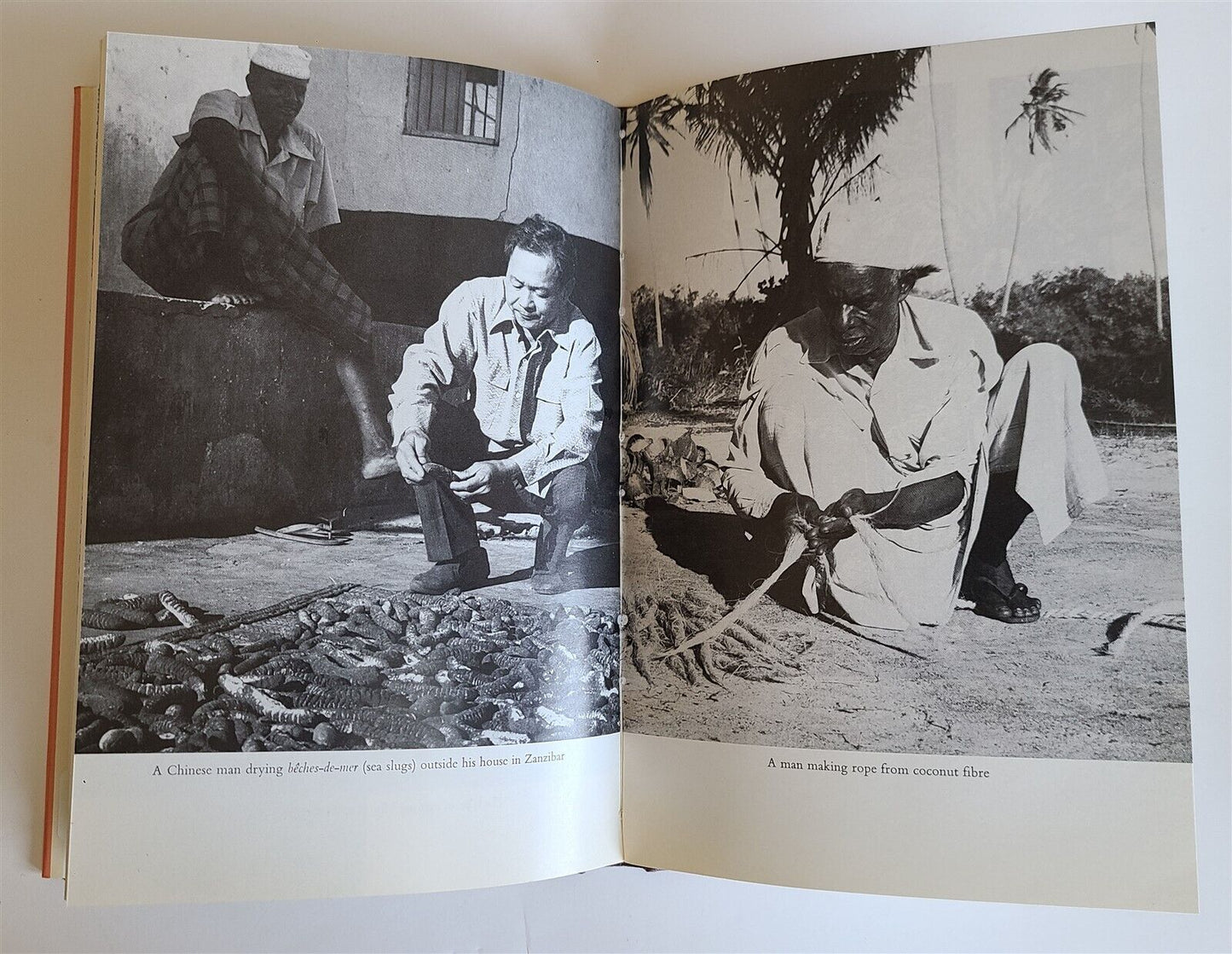 ZANZIBAR TRADITION & REVOLUTION by ESMOND BRADLEY MARTIN Tanzania Africa