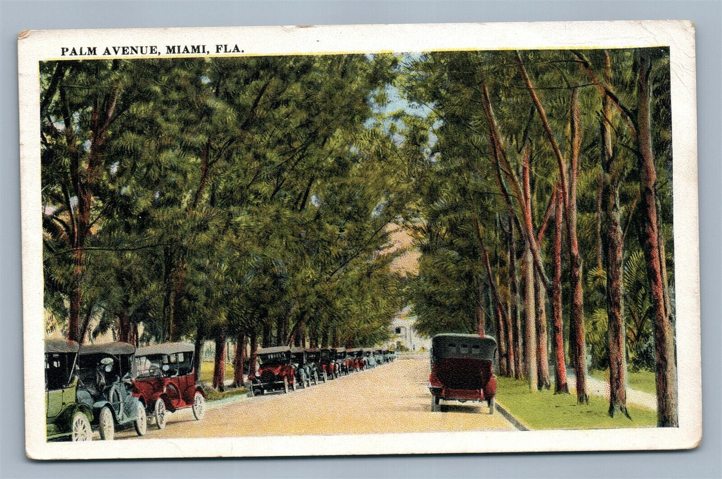 MIAMI FL PALM AVENUE ANTIQUE POSTCARD