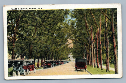 MIAMI FL PALM AVENUE ANTIQUE POSTCARD