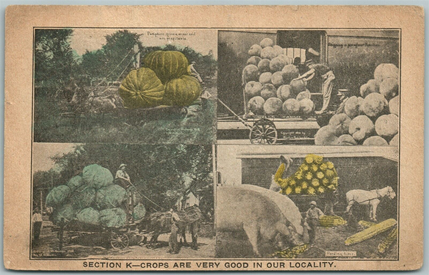 EXAGGERATED FARMING ANTIQUE 1911 POSTCARD