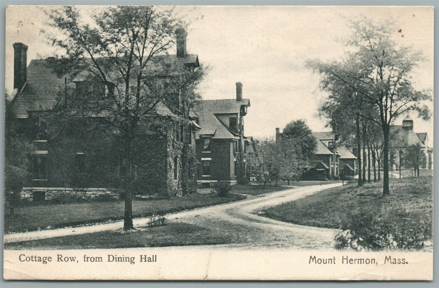MOUNT HERMON MA COTTAGE ROW ANTIQUE POSTCARD