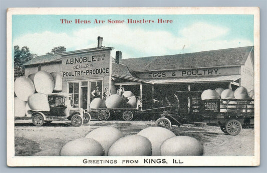 KINGS IL EXAGGERATED EGGS & POULTRY ANTIQUE POSTCARD HENS ARE SOME HUSTLERS HERE