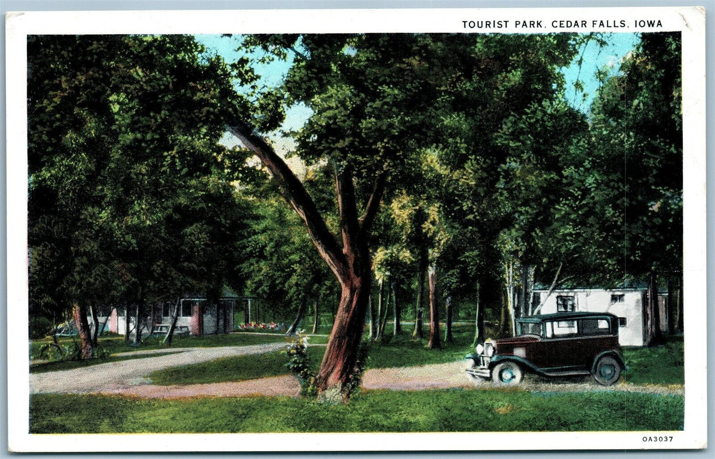 CEDAR FALLS IA TOURIST PARK ANTIQUE POSTCARD