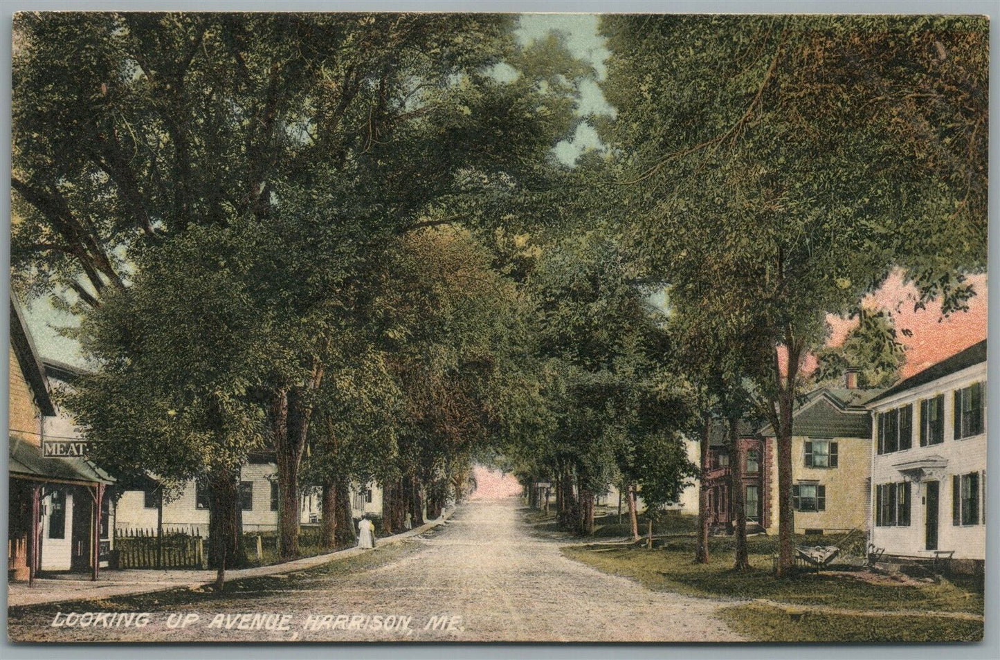HARRISON ME LOOKING UP AVENUE ANTIQUE POSTCARD
