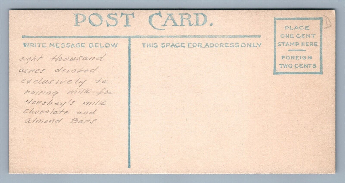 HERSHEY PA CHOCOLATE COMPANY SANITARY BARN w/ COWS ANTIQUE POSTCARD