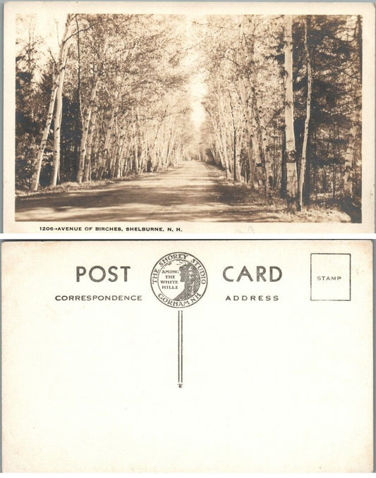 AVENUE OF BIRCHES SHELBURNE N.H VINTAGE POSTCARD