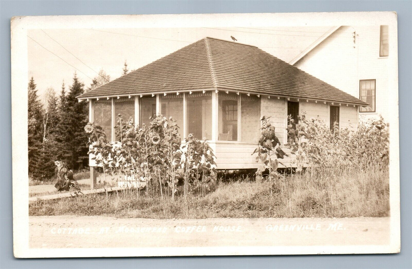 GREENVILLE ME COTTAGE AT MOOSEHEAD COFFEE HOUSE VINTAGE REAL PHOTO POSTCARD RPPC