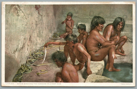 NATIVE AMERICAN HOPI KIVA SNAKES VINTAGE POSTCARD