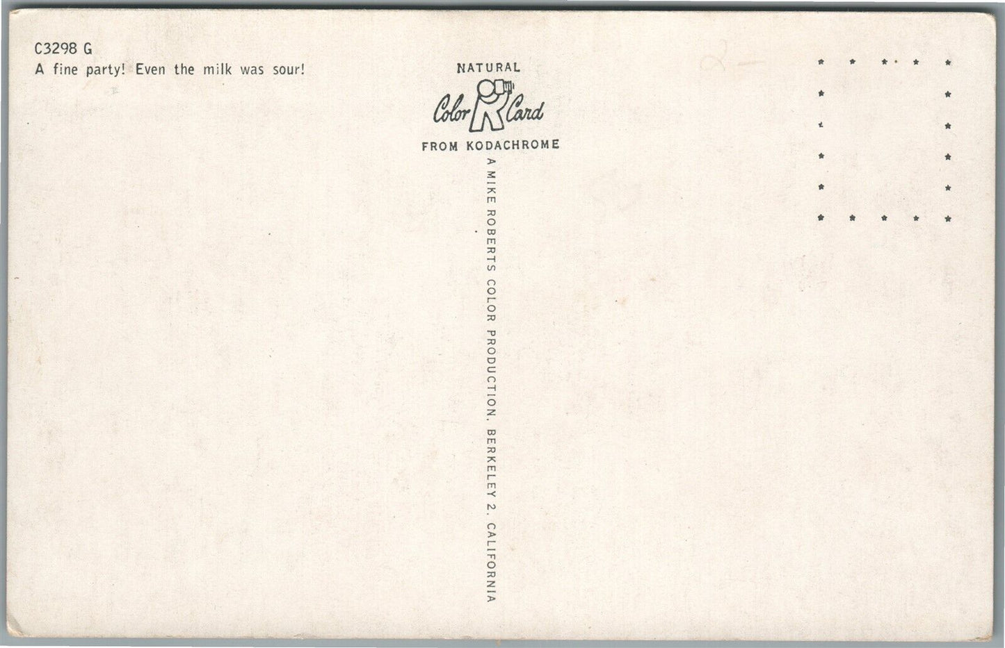 CAT DRESSED in HAT & BOW TIE ANTIQUE REAL PHOTO POSTCARD RPPC