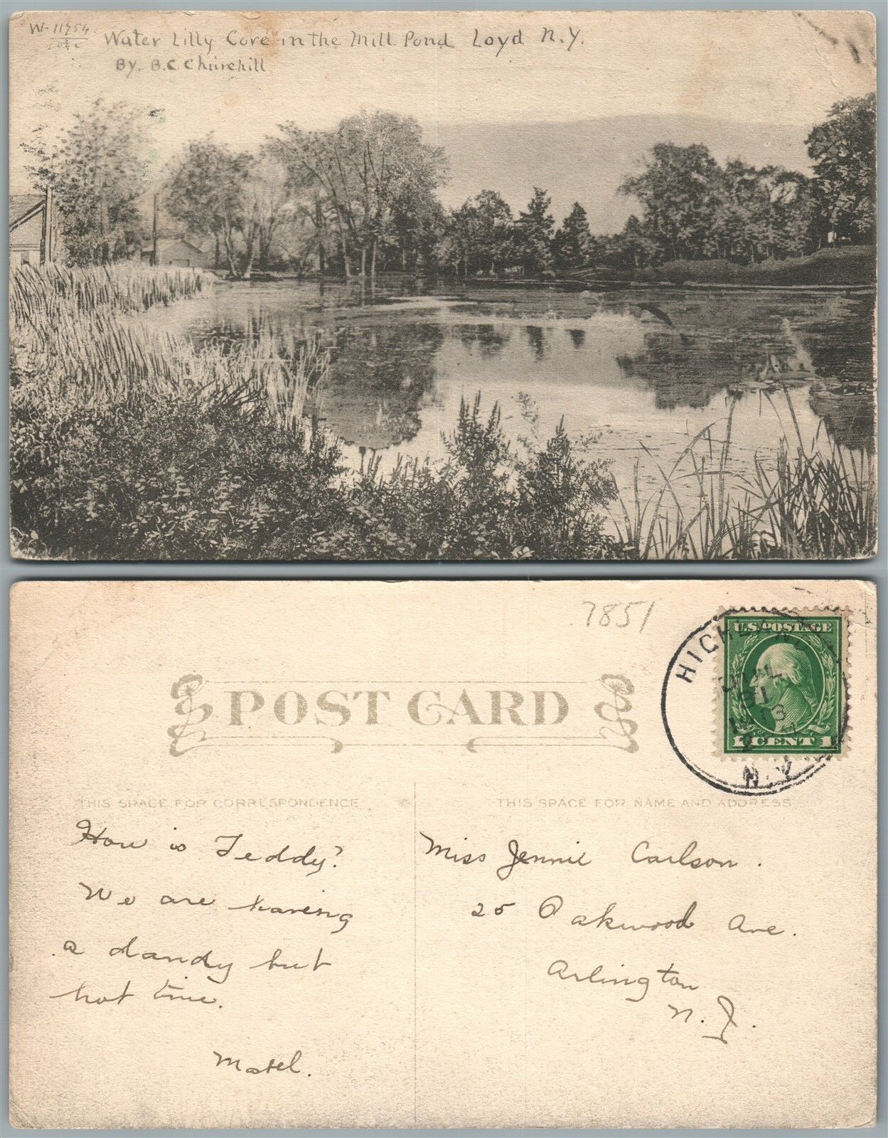 LOYD N.Y. WATER LILLY CORE IN THE MILL POND ANTIQUE POSTCARD