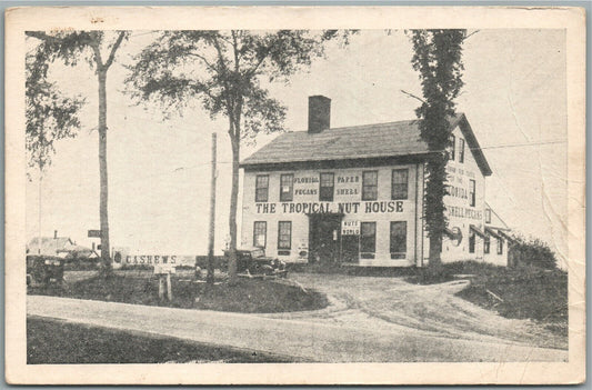 EAST BELFAST ME PERRY'S TROPICAL NUT HOUSE ANTIQUE POSTCARD