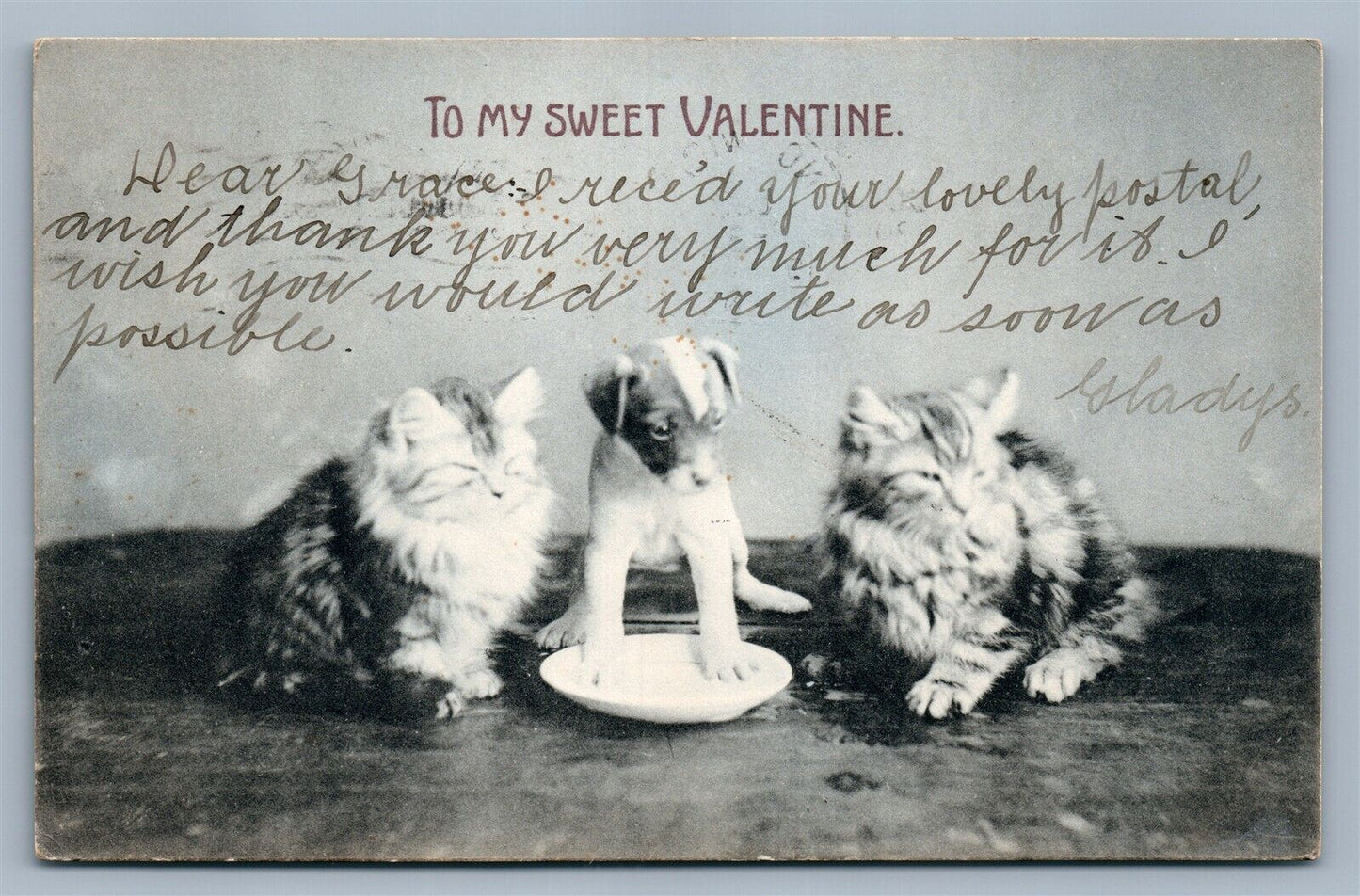 CATS w/ DOG VALENTINE GREETINGS ANTIQUE POSTCARD