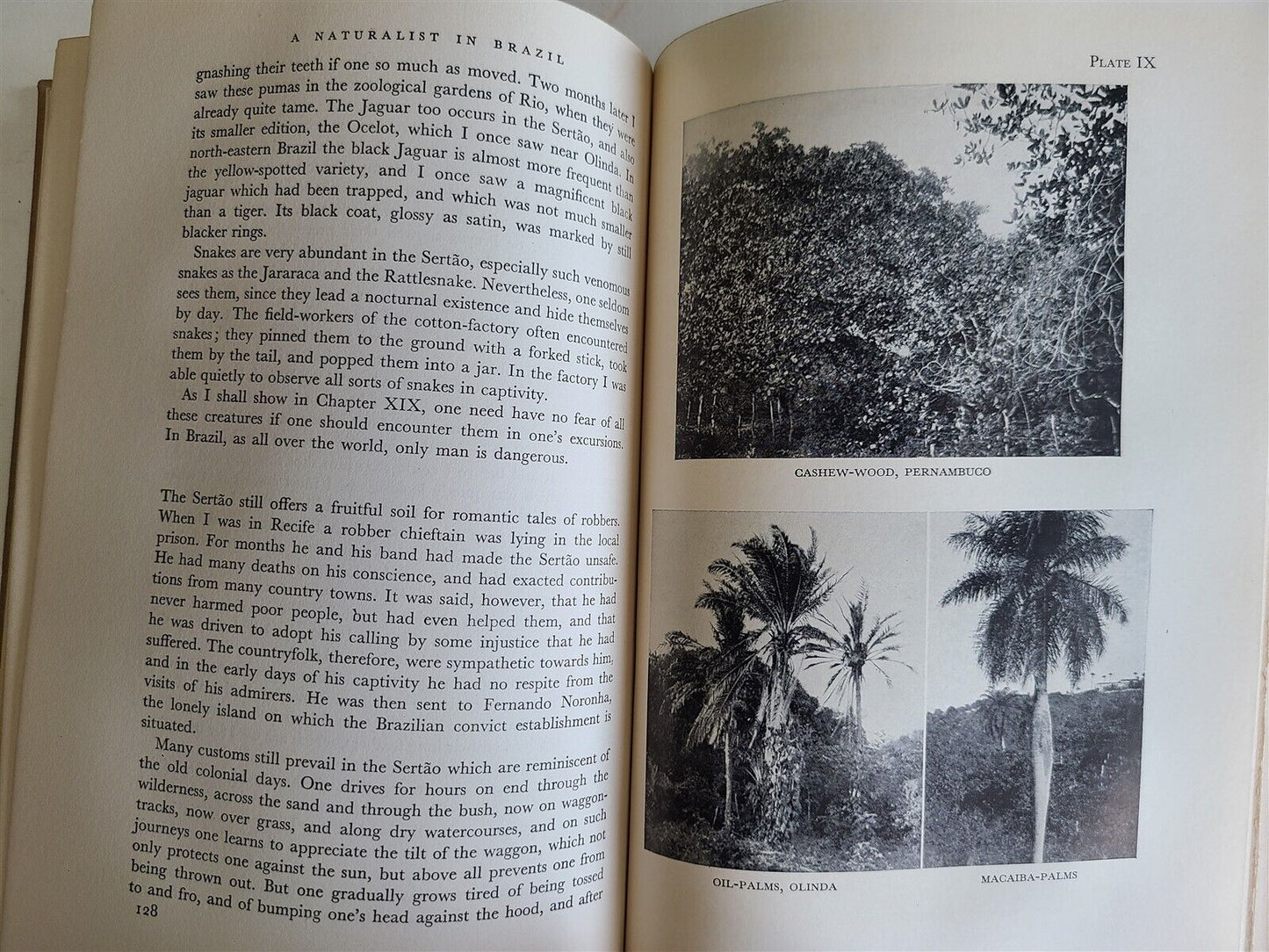 1931 A NATURALIST in BRAZIL by KONRAD GUENTHER vintage ILLUSTRATED