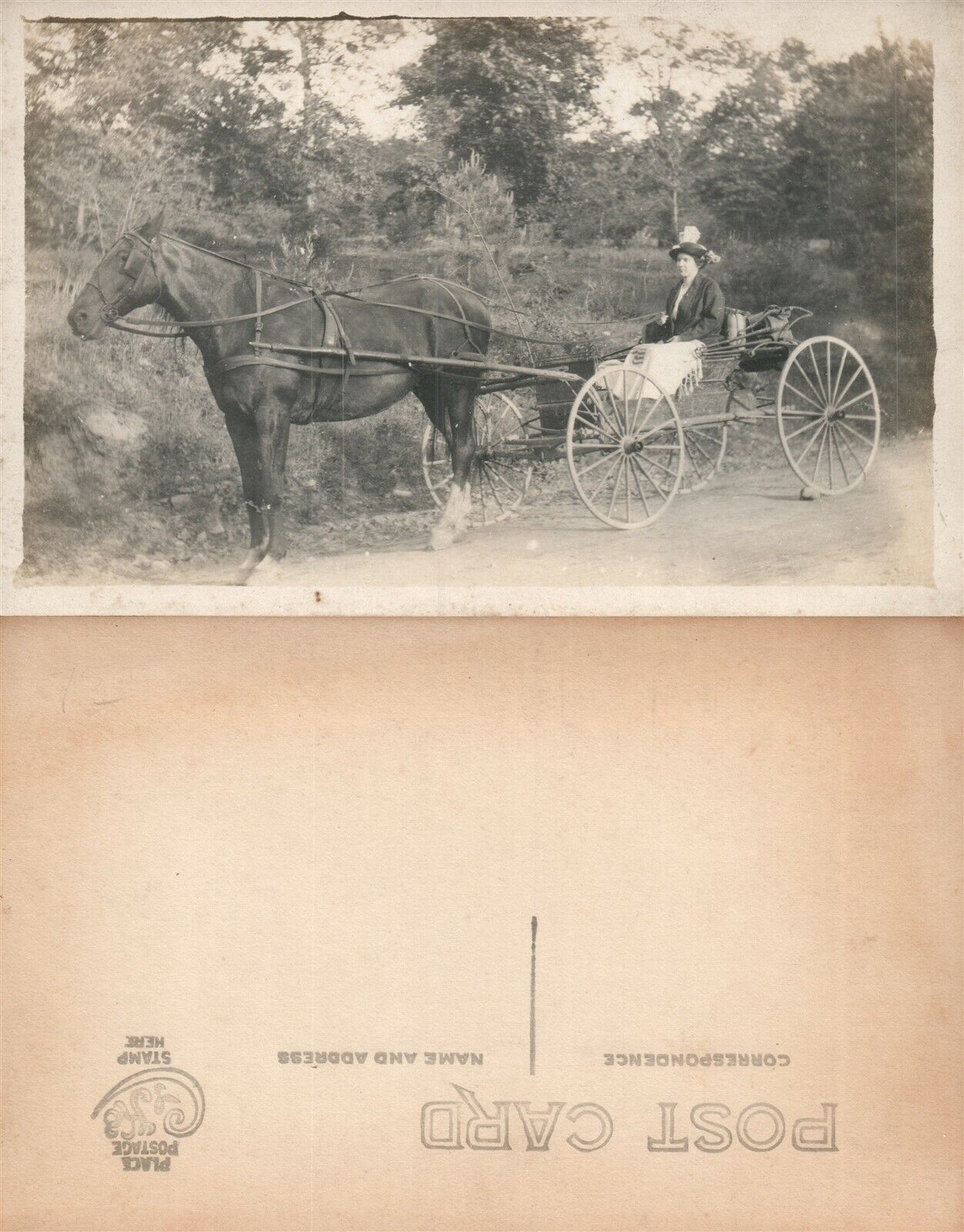 LADY & HORSE DRAWN CARRIAGE ANTIQUE REAL PHOTO POSTCARD RPPC