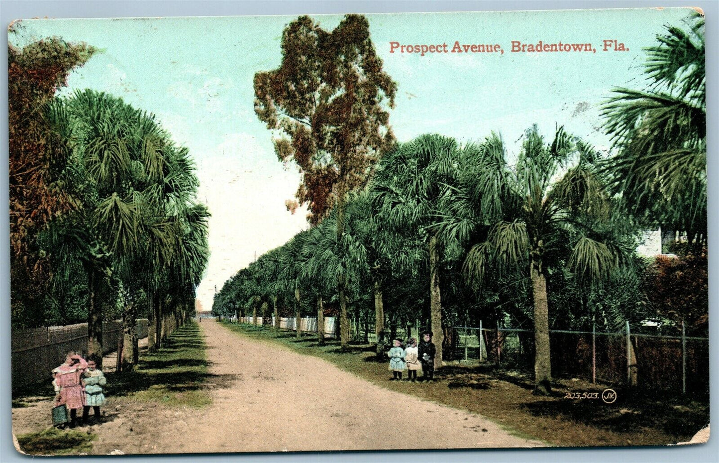 BRADENTOWN FL PROSPECT AVENUE ANTIQUE POSTCARD