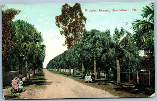 BRADENTOWN FL PROSPECT AVENUE ANTIQUE POSTCARD
