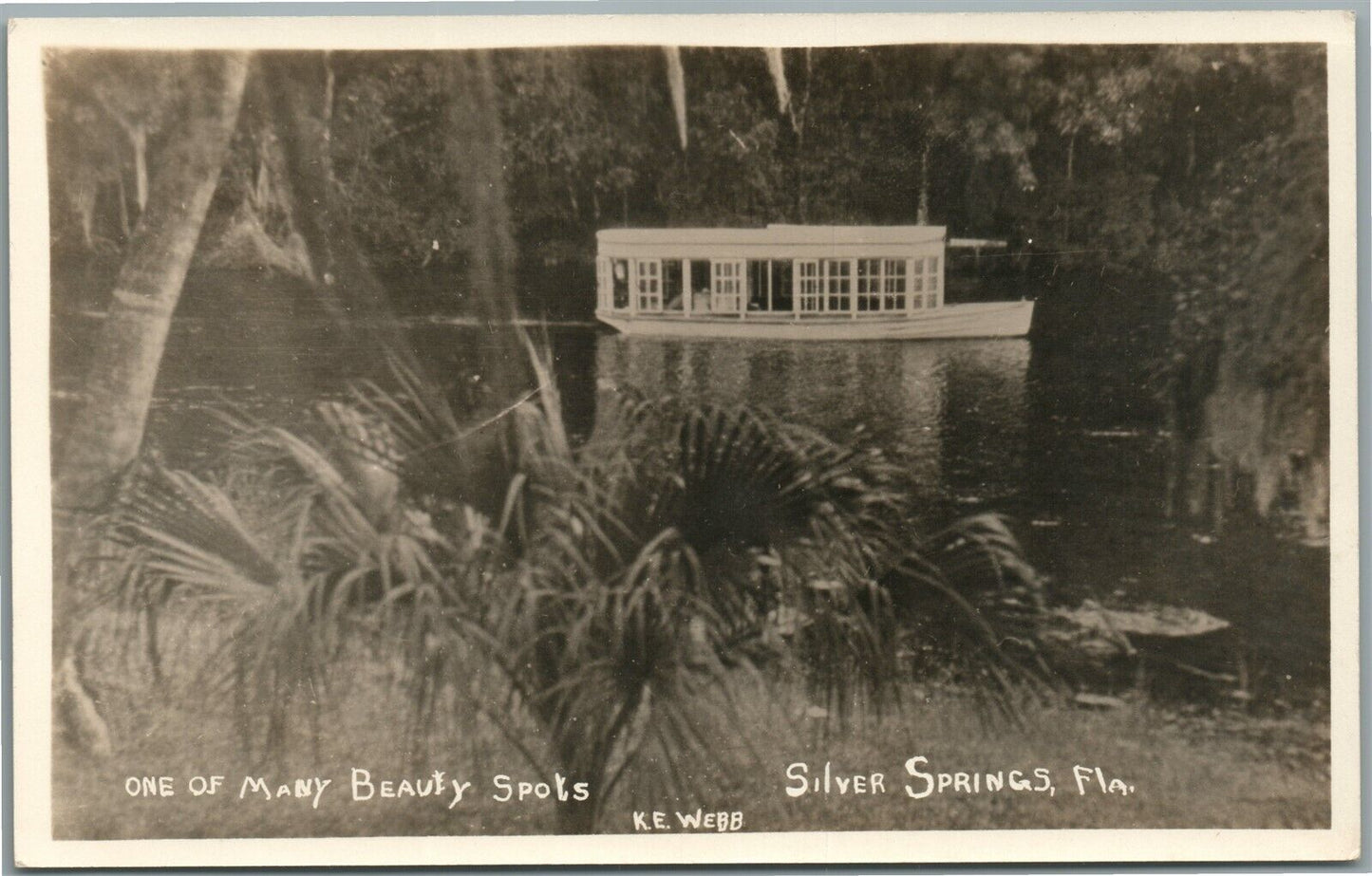 SILVER SPRINGS FL ONE OF MANY BEAUTY SPOTS ANTIQUE REAL PHOTO POSTCARD RPPC