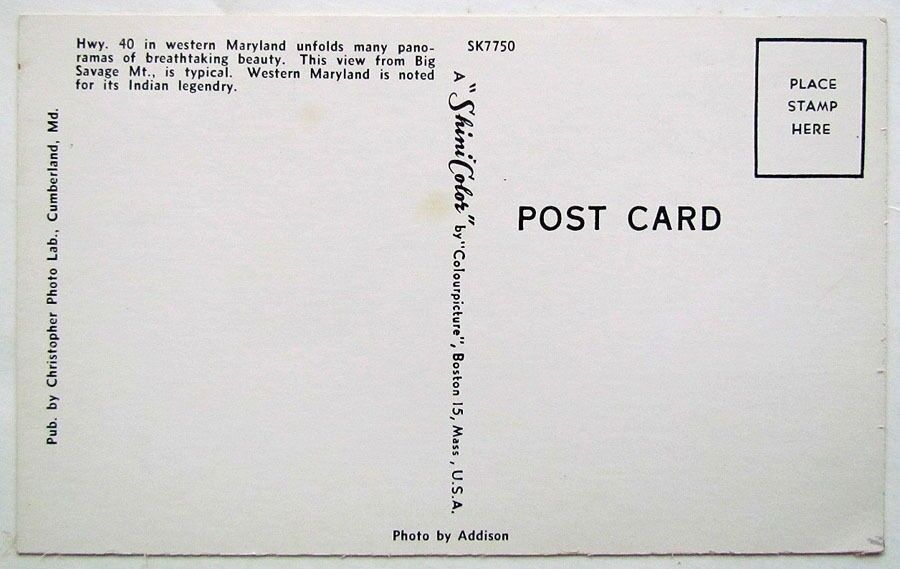 VINTAGE POSTCARD TOP OF BIG SAVAGE MTN. FROSTBURG MD & UNIONTOWN PA INDIAN CHIEF