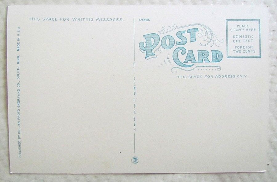 ANTIQUE POSTCARD DULUTH MINNESOTA FROM THE HILL TOP