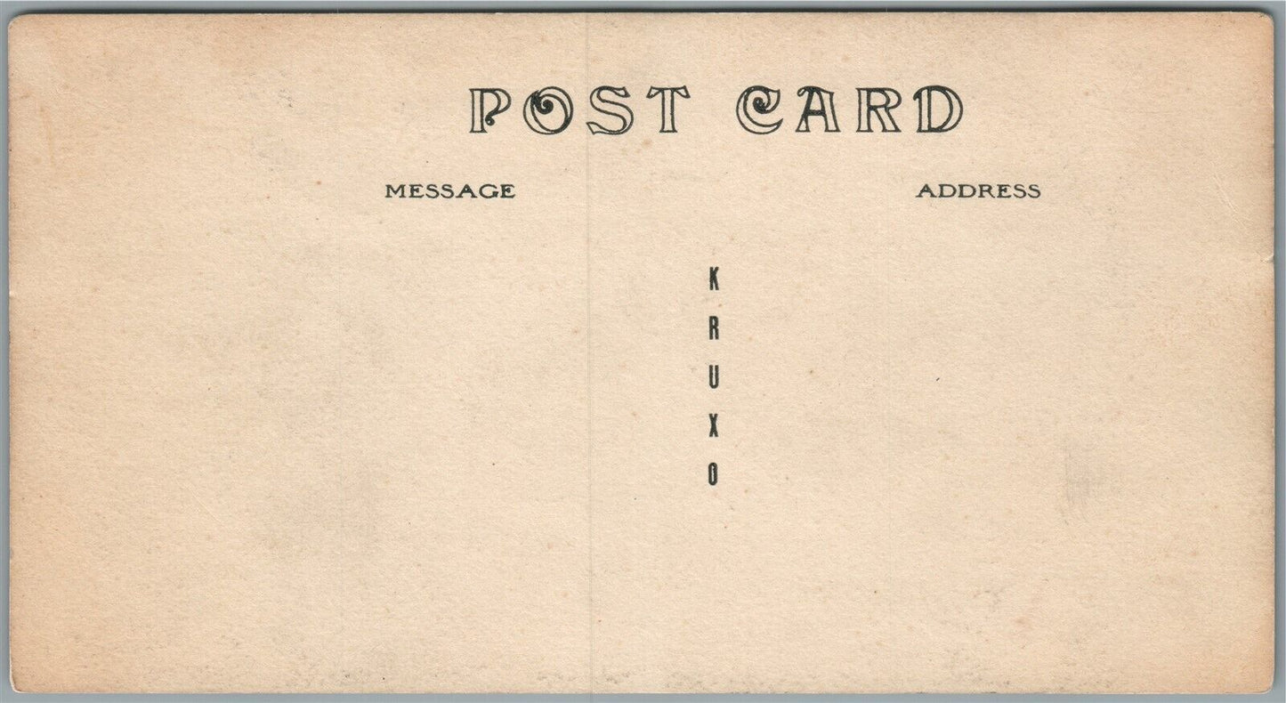 MANCHESTER VT EQUINOX HOUSE VIEW ANTIQUE REAL PHOTO POSTCARD RPPC