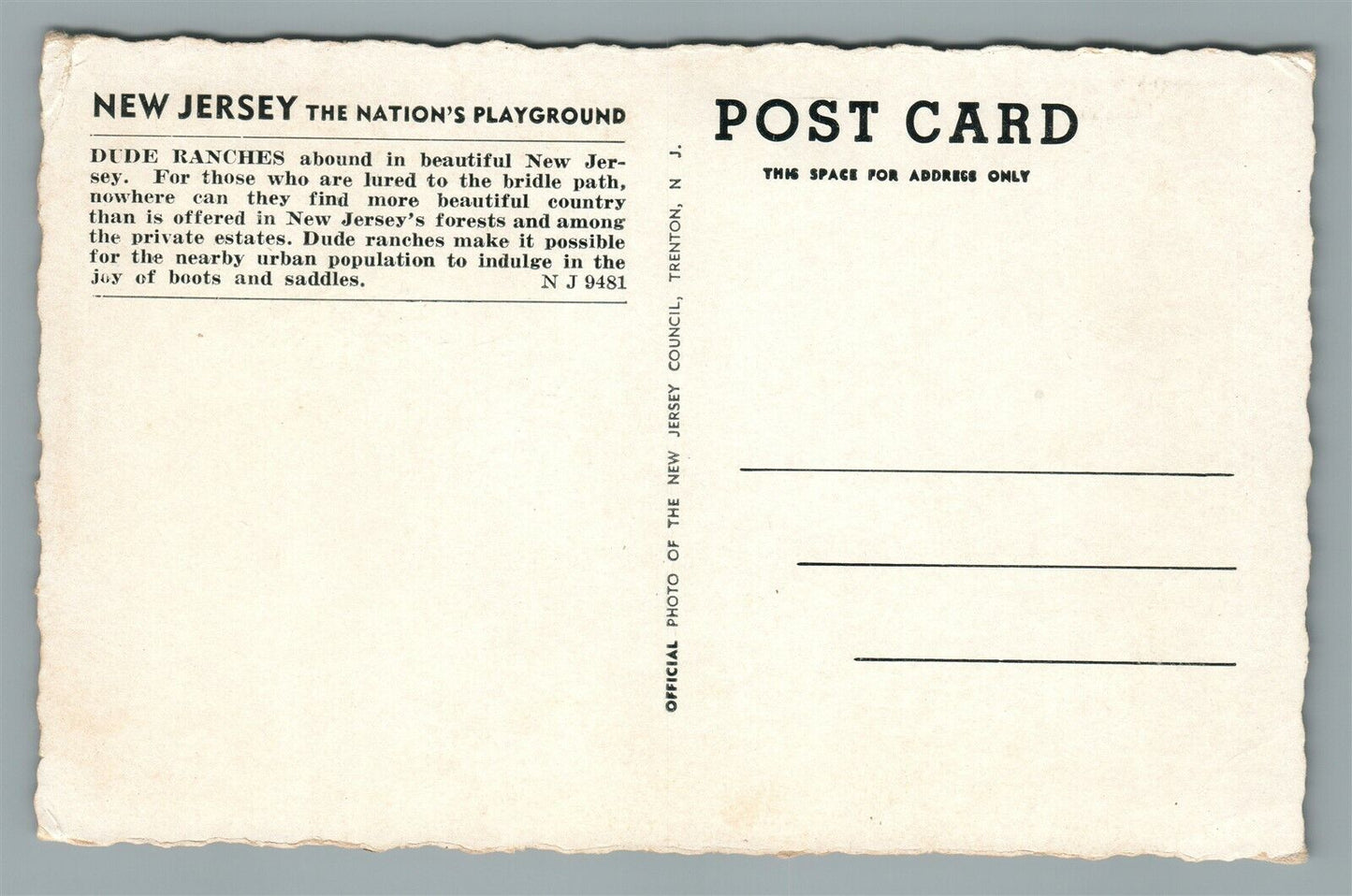 DUDE RANCHES NEW JERSEY VINTAGE POSTCARD